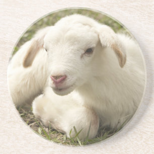 Posavasos De Arenisca Pequeño chico lindo