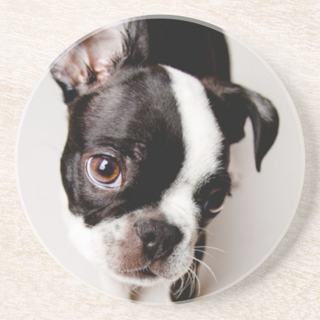 Posavasos De Arenisca Perrito de Edison Boston Terrier (Frente)