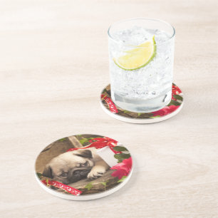 Posavasos De Arenisca Perrito del barro amasado y caja de regalo