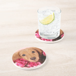 Posavasos De Arenisca Perrito del Dachshund rodeado por los rosas