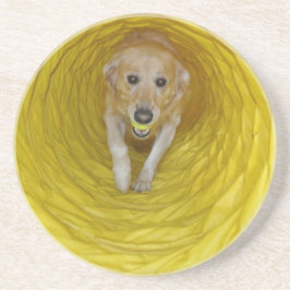 Posavasos De Arenisca Perro amarillo en túnel amarillo con la bola
