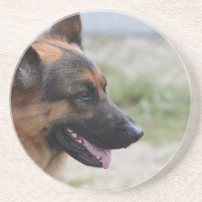 Posavasos De Arenisca Perro de pastor alemán dulce (Frente)