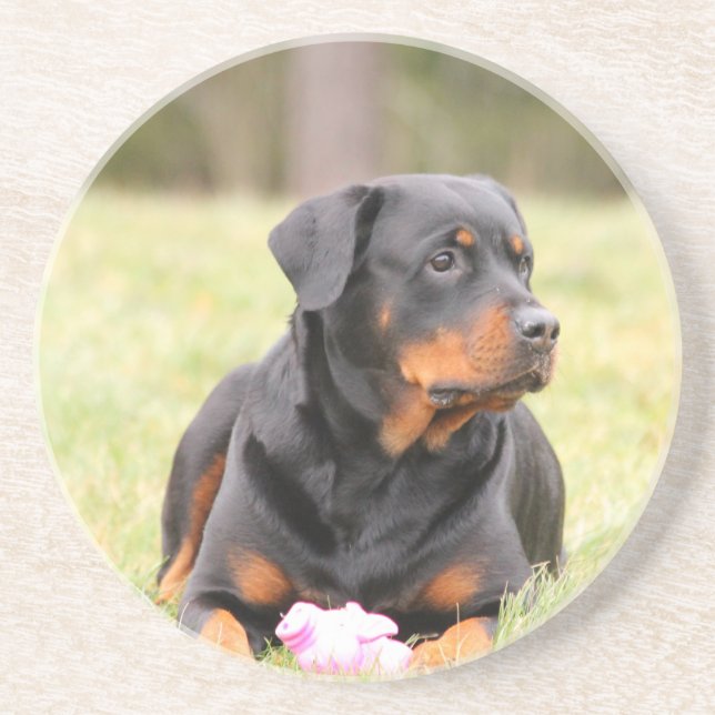 Posavasos De Arenisca Perro Rottweiler (Frente)