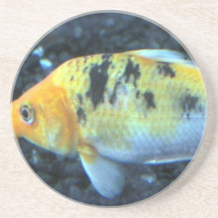 Posavasos De Arenisca Pescado de oro visto