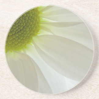Posavasos De Arenisca Petales de margarita blancos