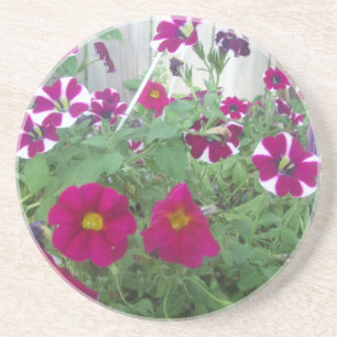 Posavasos De Arenisca Petunias rosadas