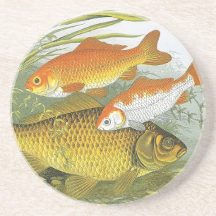Posavasos De Arenisca Pez dorado acuático vintage Koi, vida marina del m