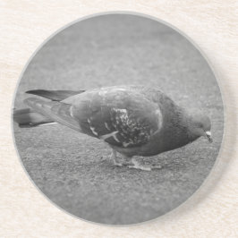 Posavasos De Arenisca Pigeon Coaster