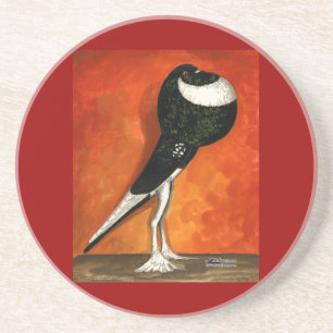 Posavasos De Arenisca Pigmy Pouter Pigeon Black Pie