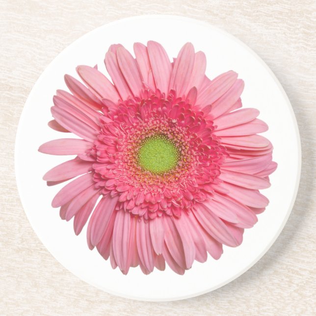 Posavasos De Arenisca Pink Gerbera Daisy (Frente)