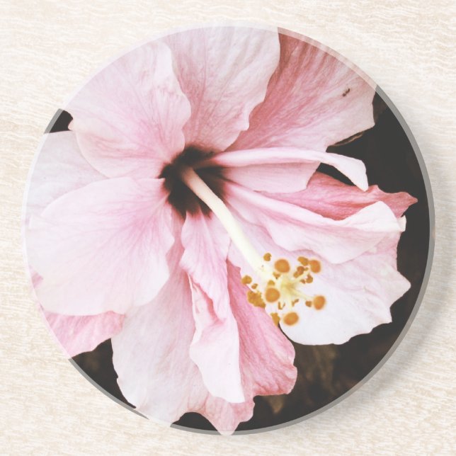 Posavasos De Arenisca Pink Hibiscus (Frente)