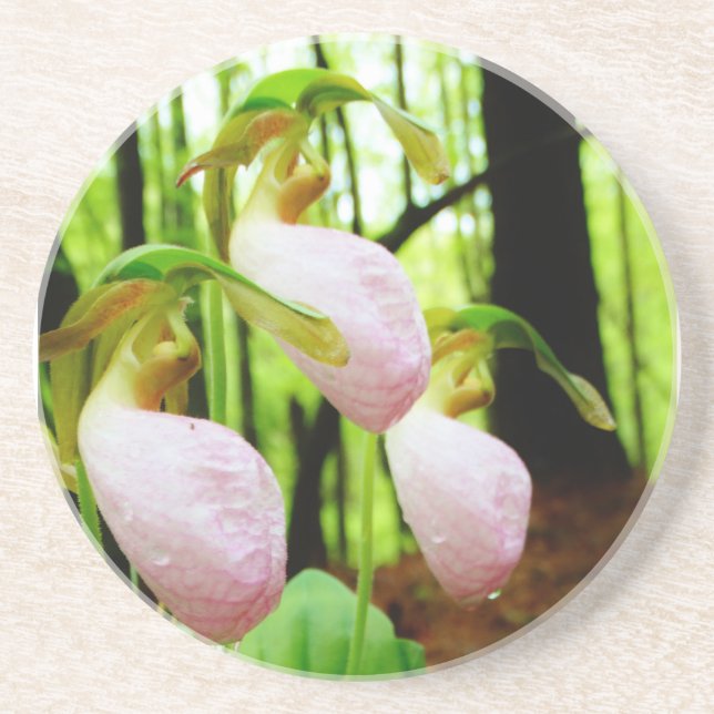 Posavasos De Arenisca Pink Lady Slipper Wild Orchid (Frente)
