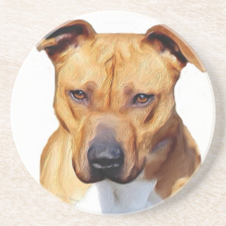 Posavasos De Arenisca Pitbull Terrier