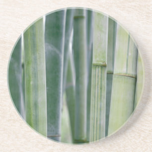 Posavasos De Arenisca Plantilla modificada para requisitos particulares