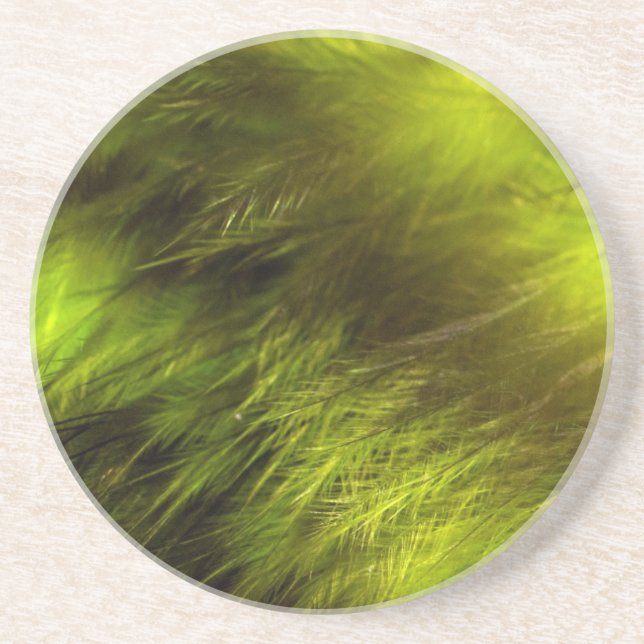 Posavasos De Arenisca Plumas amarillas (Frente)