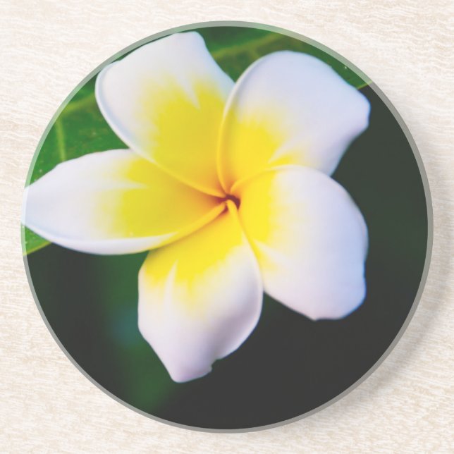 Posavasos De Arenisca Plumeria (Frente)