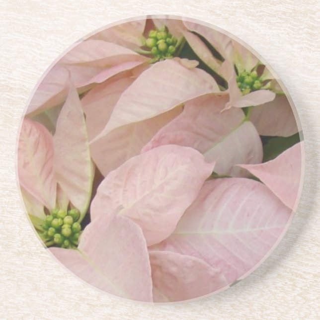 Posavasos De Arenisca Poinsettia rosa bebé (Frente)