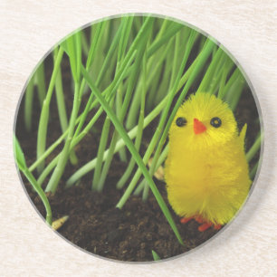 Posavasos De Arenisca pollito de pasto