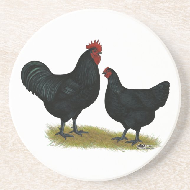 Posavasos De Arenisca Pollos de Jersey Giant (Frente)