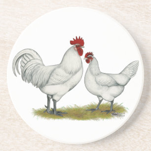 Posavasos De Arenisca Pollos de pie azul