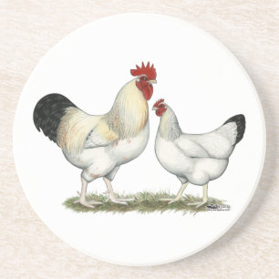 Posavasos De Arenisca Pollos del río Indio