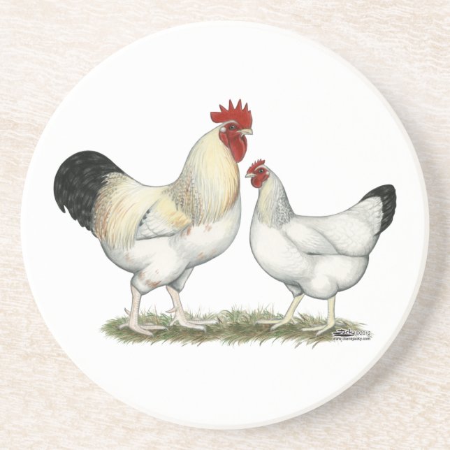 Posavasos De Arenisca Pollos del río Indio (Frente)