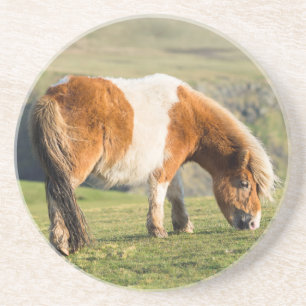 Posavasos De Arenisca Poni Shetland en el pasto cerca de acantilados alt