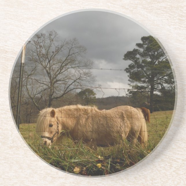 Posavasos De Arenisca Pony en miniatura rubia / caballo (Frente)