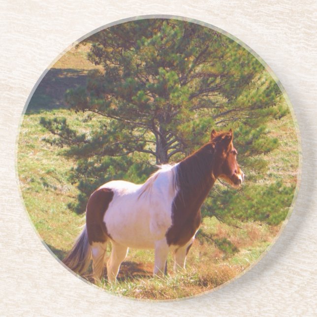 Posavasos De Arenisca Pony pintado por el pino (Frente)
