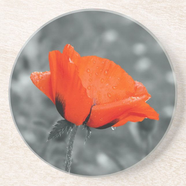 Posavasos De Arenisca Poppy Coaster (Frente)