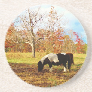 Posavasos De Arenisca Potro/caballo miniatura blancos y negros