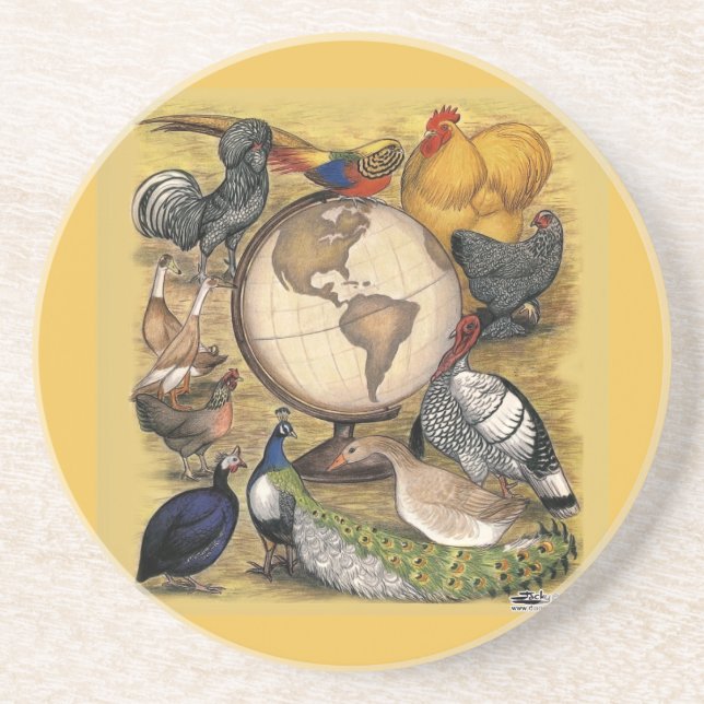 Posavasos De Arenisca Poultry of the World (Frente)