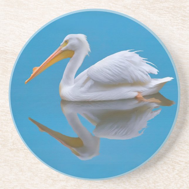 Posavasos De Arenisca Práctico de costa americano del pelícano blanco (Frente)