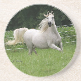 Posavasos De Arenisca Práctico de costa árabe hermoso de la yegua - 2
