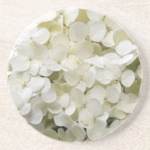 Posavasos De Arenisca Práctico de costa blanco de la bebida del