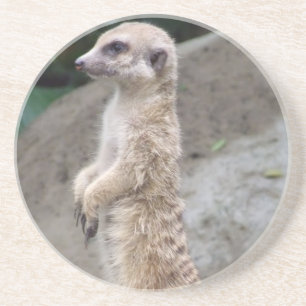 Posavasos De Arenisca Práctico de costa contrapesado de Meerkat