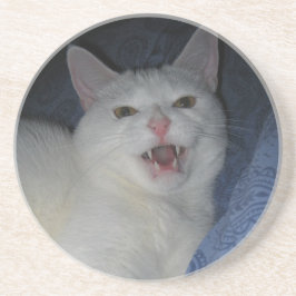 Posavasos De Arenisca Práctico de costa de Júpiter