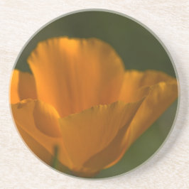 Posavasos De Arenisca Práctico de costa de la amapola de California