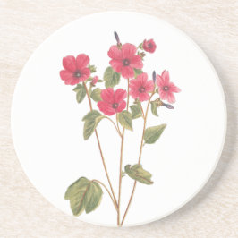 Posavasos De Arenisca Práctico de costa de la bebida con un ilustracion