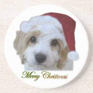 Posavasos De Arenisca Práctico de costa de la caza de Santa