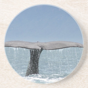Posavasos De Arenisca Práctico de costa de la cola de la ballena