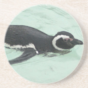 Posavasos De Arenisca Práctico de costa de la natación del pingüino