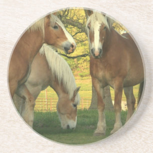 Posavasos De Arenisca Práctico de costa de los caballos de proyecto del