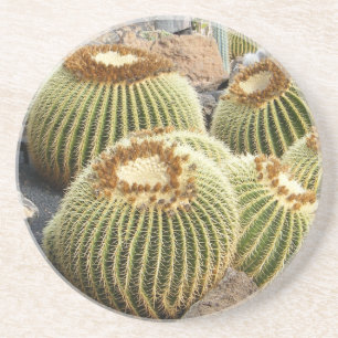 Posavasos De Arenisca Práctico de costa de los cactus