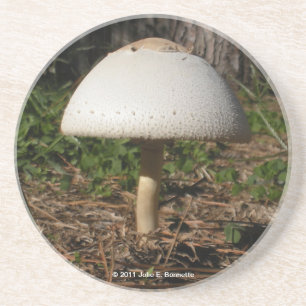 Posavasos De Arenisca Práctico de costa de Shroom 0659