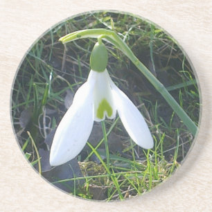 Posavasos De Arenisca Práctico de costa de Snowdrop