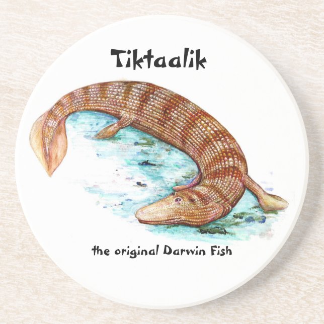 Posavasos De Arenisca Práctico de costa de Tiktaalik (Frente)