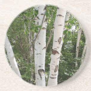 Posavasos De Arenisca Práctico de costa del árbol de abedul