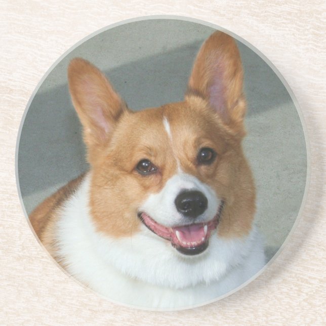 Posavasos De Arenisca Práctico de costa del Corgi Galés (Frente)