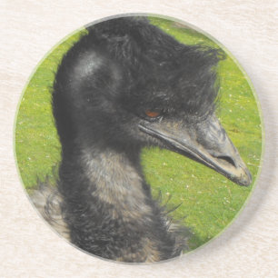 Posavasos De Arenisca Práctico de costa del Emu